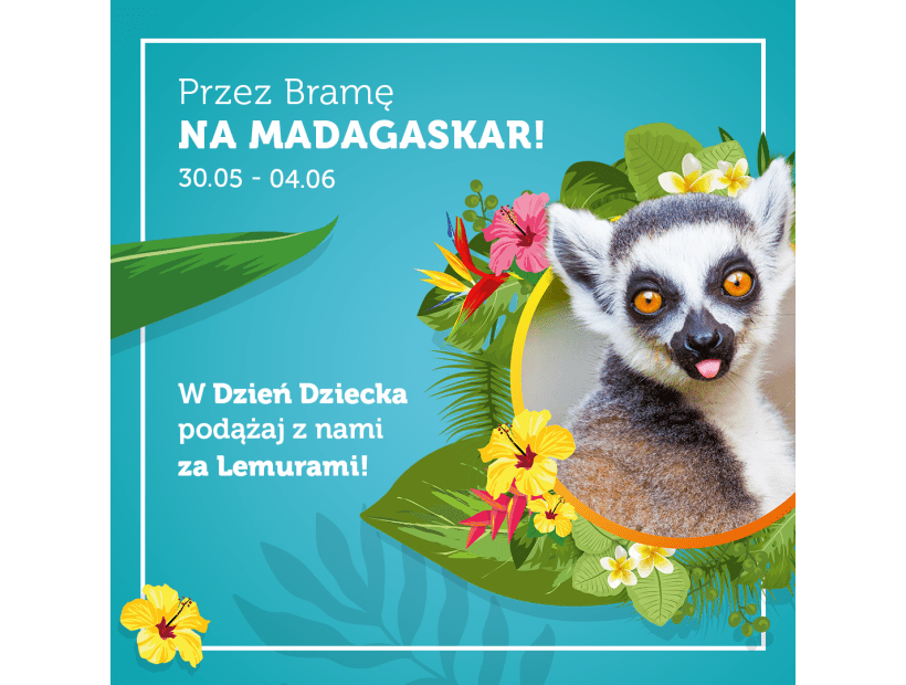 Brama-Mazur-Dzien-Dziecka-Madagaskar-2022_kafelek-www-1080x1080.png