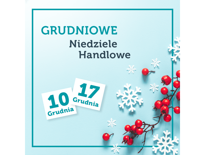 Brama_Mazur_Niedziele_handlowe_grudzien_2023_Kafelek_WWW_1080x1080.png