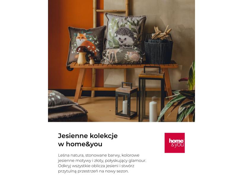igfeed_CH_koce-1.jpg